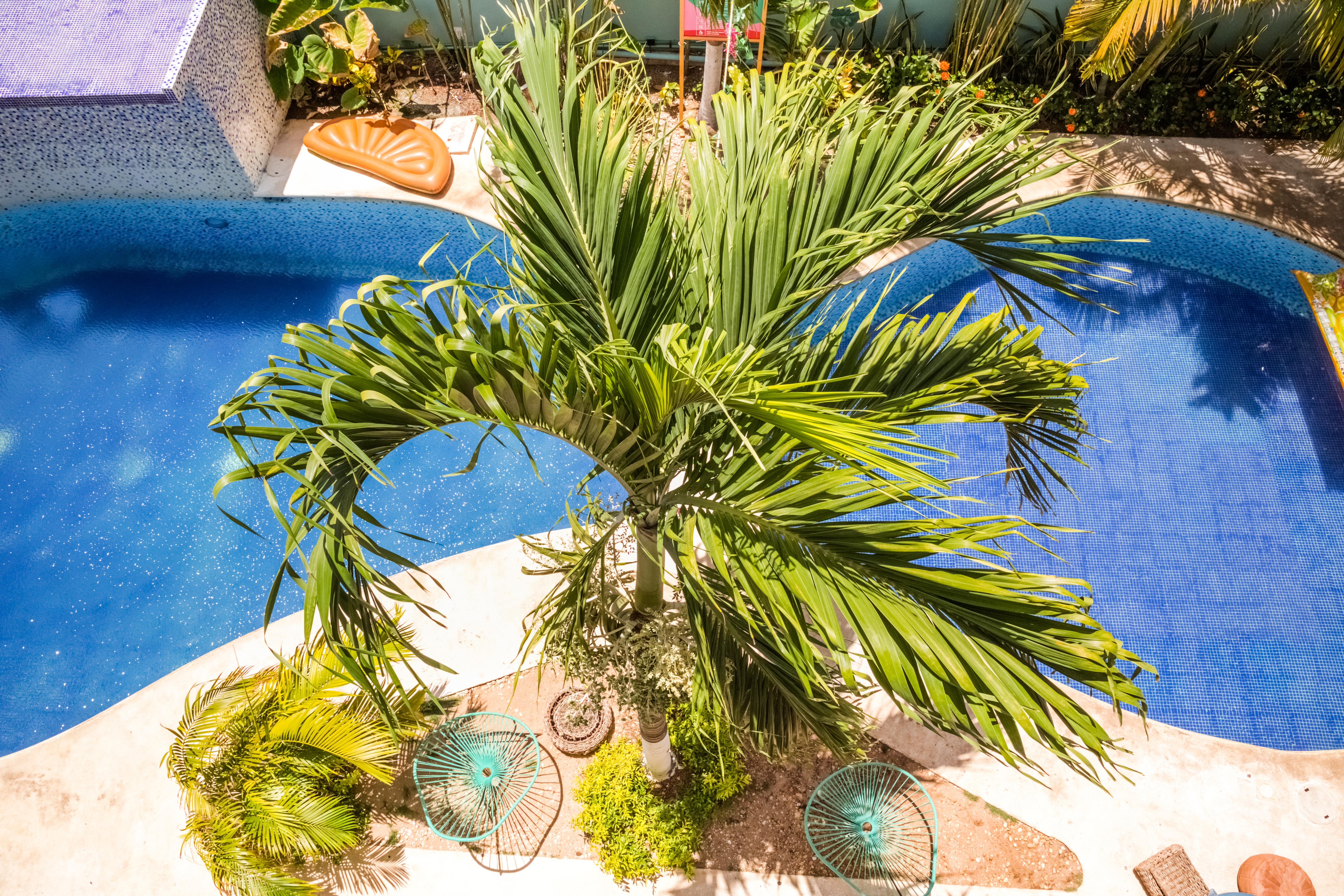 Selina Playa Del Carmen Hotell Eksteriør bilde