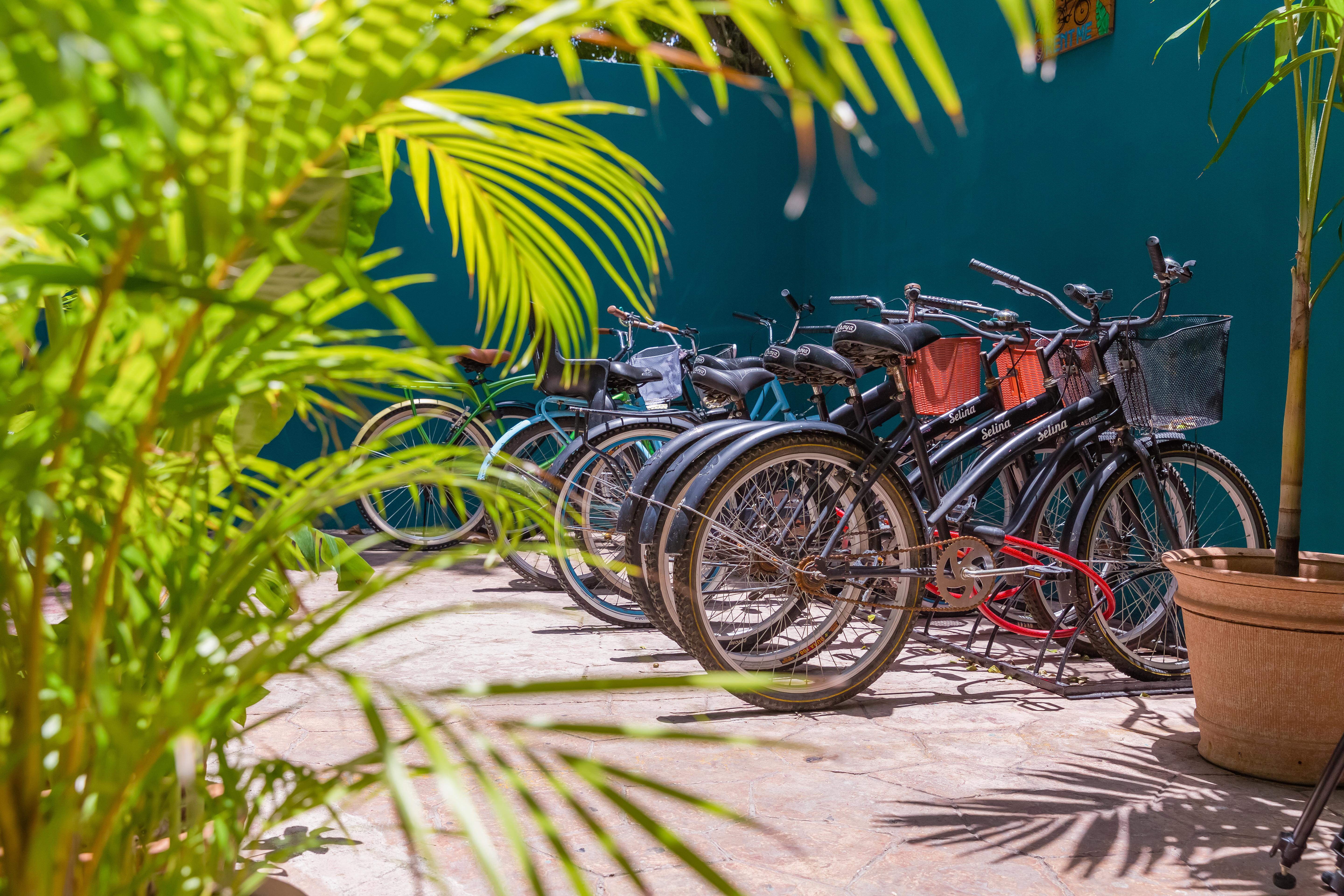 Selina Playa Del Carmen Hotell Eksteriør bilde